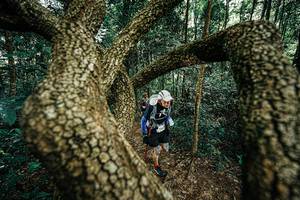 BIB: 
                            <button type="button" onclick="openModal(25393112)" class="btn btn-primary btn-sm float-right btn-popup" data-toggle="modal" data-target=".modal-high-quality">
                        <i class="fas fa-shopping-cart"></i> Add to Cart
                    </button>
                                            <button type="button" onclick="isThisMe(25393112, true)" class="btn btn-success btn-sm float-right btn-popup btn-isme hidden" data-toggle="tooltip" data-placement="bottom" title="นี่คือรูปของคุณใช่ไหม คลิกที่นี่เพื่อเอาเข้าอัลบั้ม">
                        <i class="fas fa-plus"></i> Add to album
                    </button>
                    <button type="button" onclick="isThisMe(25393112, false)" class="btn btn-warning btn-sm float-right btn-popup btn-isnotme hidden">
                        <i class="fas fa-ban"></i> Remove from album
                    </button>